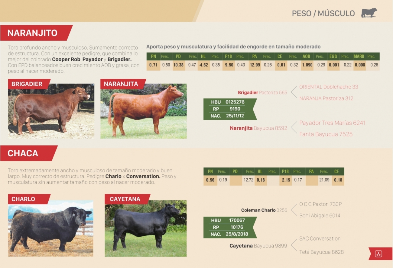 Imagen 9
